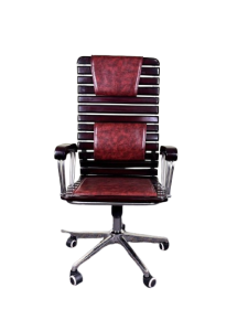 Akhter Model – Wooden SS Chair